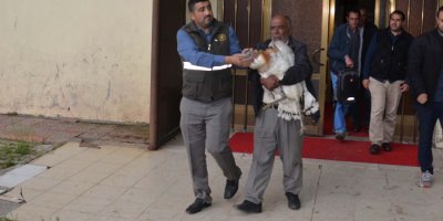 Yaralı toy kuşu koruma altına alındı