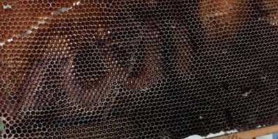 Görenleri şaşırttı! Tam 8 yıldır özenle saklıyor