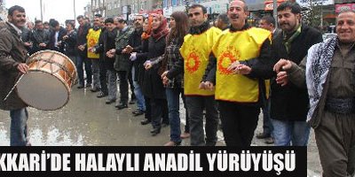Hakkari'de Halaylı Anadil Yürüyüşü