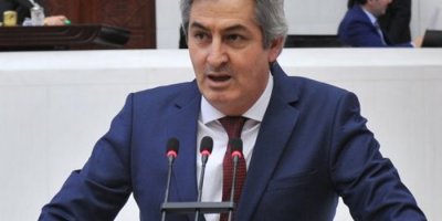 Lezgin Botan tekrar aday olacak mı?