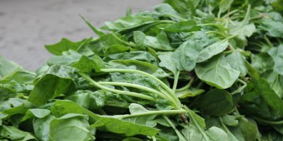 Mayıs'ta zam şampiyonu ıspanak oldu