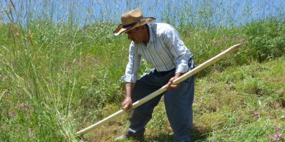Hakkari’de tırpancıların zorlu ramazan mesaisi