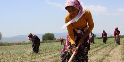 45 derece sıcakta ekmek parası mücadelesi