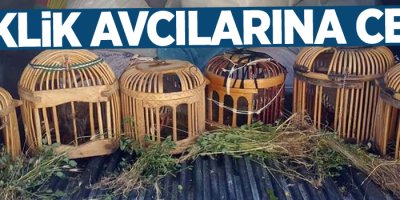 Van’ın Gevaş ilçesinde keklik avcılarına ceza