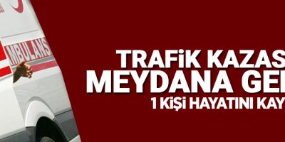 Direksiyon hakimiyetini kaybetti, ağaca çarptı: 1 ölü, 2 yaralı