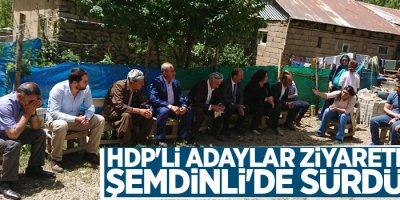 HDP'li adaylar ziyaretlerini Şemdinli'de sürdürdü