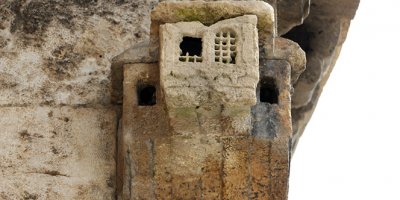 Bu kuşevi tam 339 yaşında