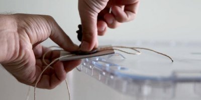 İki kez oy kullandığı iddia edilen kadın serbest bırakıldı