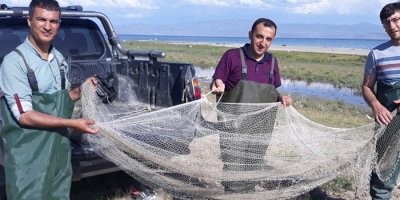 500 kilogram kaçak avlanmış balık ele geçirildi