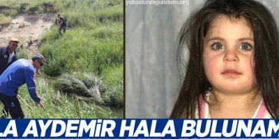 Leyla’yı arama çalışmaları 12. gününde