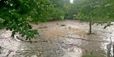 Dolu yağışı tarım arazilerine zarar verdi