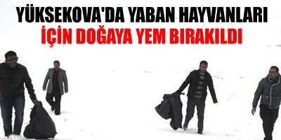 Doğaya Yem Bırakıldı
