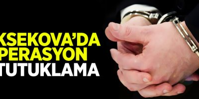 Yüksekova'da operasyon: 10 tutuklama