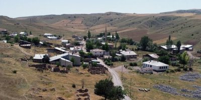 Hava kararınca ortaya çıkıyorlar