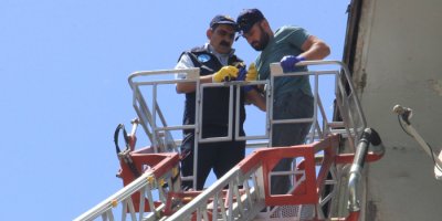 Çatıda mahsur kalan serçe kurtarıldı