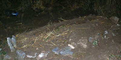 Kayıp Evrim dedesinin mezarında arandı