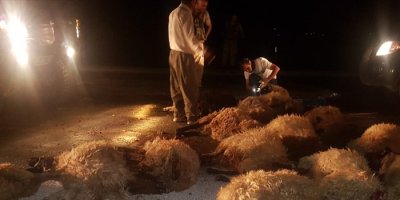 Araç sürüye daldı: 20 koyun telef oldu