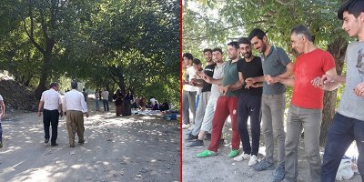 Yüksekova’da halaylı koyun kırkma şenliği