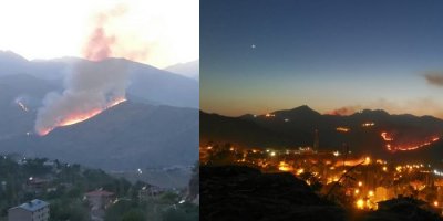 Irak sınırında orman yangını