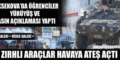 Yüksekova'da Silah Sesleri