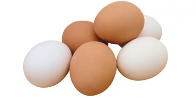 Tavuk yumurtası üretimi yüzde 5,5 azaldı