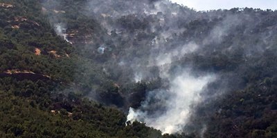 Beytüşşebap’ta orman yangını