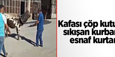 Kafası çöp kutusuna sıkışan kurbanlığı esnaf kurtardı