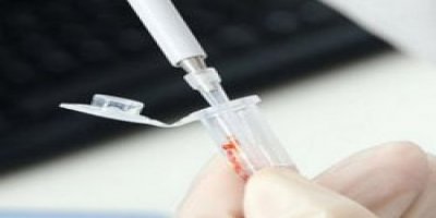 Kuş gribi yine öldürdü