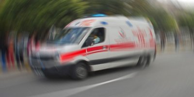 Arıların soktuğu yaşlı kadın öldü