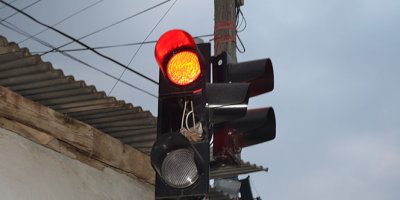 Bu kumrunun yuvası güvenli yerde