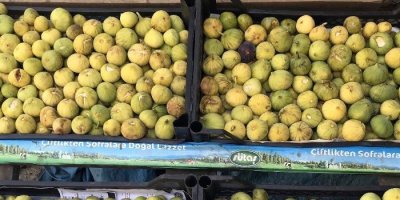 Bitlis ekonomisine incir ve nar desteği