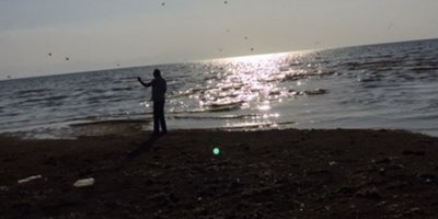 Van Gölü bataklığa dönüşüyor