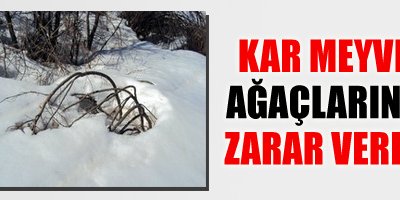 Kar meyve ağaçlarına zarar verdi