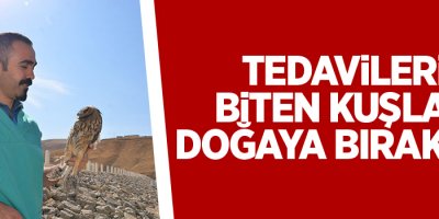 Tedavileri Biten Kuşlar Doğaya Bırakıldı