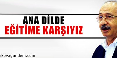 Ana dilde eğitimi doğru bulmuyoruz