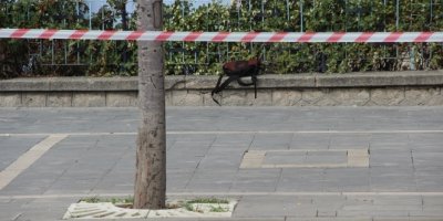 Okul çantası bomba paniğine neden oldu