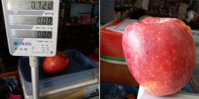 Bir elma tam 720 gram geldi
