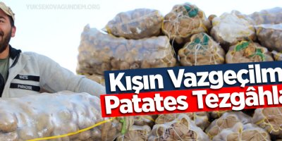 Kışın vazgeçilmezi patates tezgahlarda