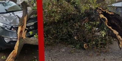 Van’da şiddetli fırtına hayatı felç etti