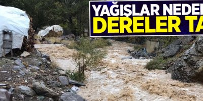 Yağışlar nedeniyle dereler taştı