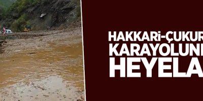 Hakkari-Çukurca karayolunda heyelan
