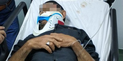 Kestiği ağaç üzerine düşen yaşlı adam ağır yaralandı