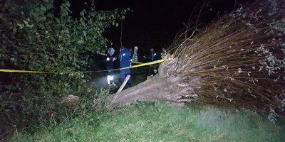 Kestiği ağacın altında kalarak hayatını kaybetti