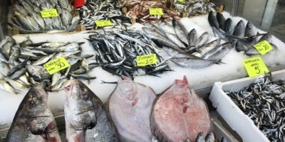 Hamsi 5 liraya kadar düştü