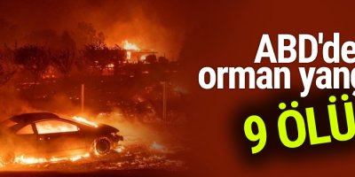 ABD'de orman yangını: 9 ölü