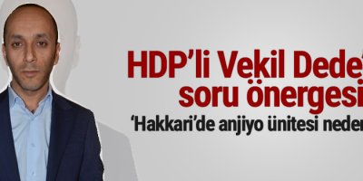 HDP’li vekil Dede'den soru önergesi