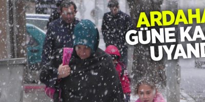 Ardahan'da kar yağışı etkili oldu