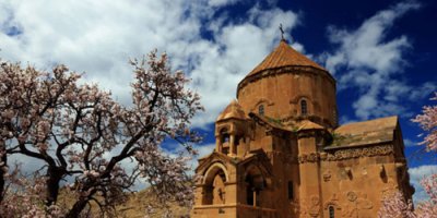 Tatlı suya kavuşan Akdamar Adası yeşilleniyor