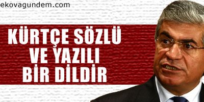 Özçelik: Kürtçe sözlü ve yazılı bir dildir