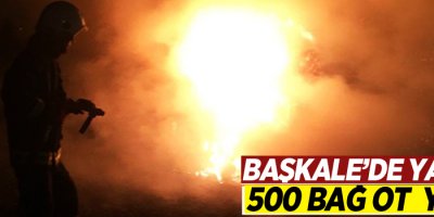 Başkale’de bin 500 bağ ot kül oldu